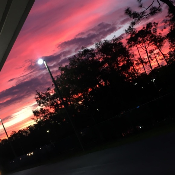 Meet your Posher, Kianny - Picture 1 of 1